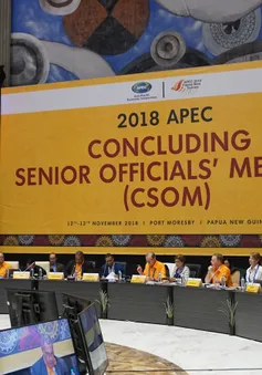 Việt Nam dự Hội nghị tổng kết các Quan chức cao cấp của APEC 2018