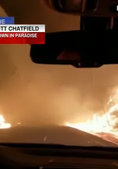 Người phụ nữ vừa lái xe, vừa cầu nguyện để thoát đám cháy rừng ở California