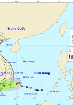 Bão số 8 đã suy yếu thành áp thấp nhiệt đới