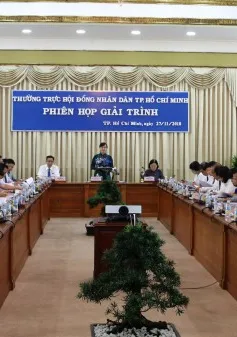 HĐND TP.HCM giám sát chuyên đề về quy hoạch các khu vực có chức năng giáo dục