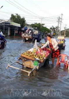 Bạc Liêu chủ động xây tường kè ngăn triều cường