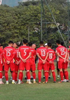 Đội tuyển Việt Nam không có "số 1" tại AFF Cup 2018