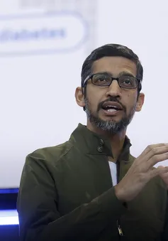 CEO Google chính thức lên tiếng sau ngày nhân viên trên toàn thế giới biểu tình