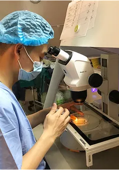 Báo động: Chất lượng tinh trùng đàn ông Việt ngày càng suy giảm