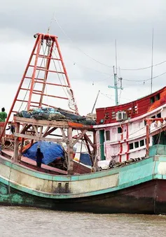 Công khai hàng chục tàu cá vi phạm IUU