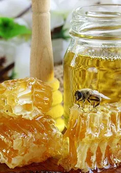 Mật ong - “thần dược” đa năng