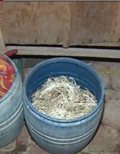 Bến Tre phát hiện cơ sở sản xuất giá đỗ bằng hóa chất