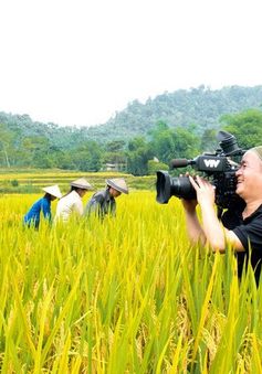 Những bức ảnh "nghìn like" tại cuộc thi ảnh "Những người làm truyền hình"