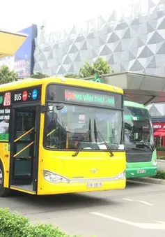 Đấu giá quảng cáo 1.590 xe bus: Không có nhà đầu tư tham gia