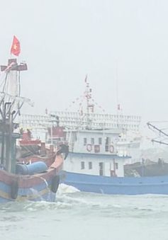 Ngư dân Thừa Thiên Huế sôi nổi xuất quân đánh bắt vụ cá nam