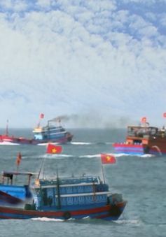 Hàng trăm tàu cá của ngư dân Lý Sơn vươn khơi