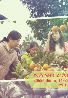 Nâng cánh ước mơ số 07/2018 (20h55 thứ Tư, 14/2 trên VTV8)