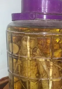 Cảnh báo ngộ độc do uống rượu ngâm không rõ nguồn gốc