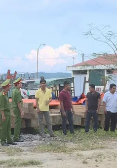 Làm rõ 7 đối tượng trong vụ vận chuyển gỗ lậu quy mô lớn tại Đăk Lăk