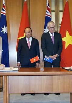 Việt Nam- Australia phối hợp thúc đẩy hợp tác về Khoa học, Công nghệ và Đổi mới sáng tạo