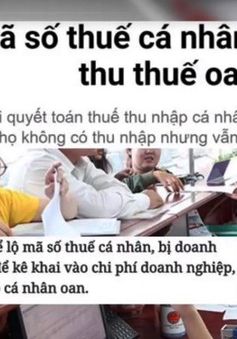 Để lộ mã số thuế thu nhập cá nhân có thể bị truy thu thuế oan