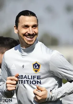 Ibrahimovic rạng rỡ trong buổi tập đầu tiên tại LA Galaxy