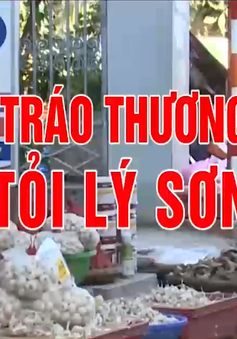 Đánh tráo thương hiệu tỏi Lý Sơn