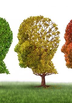 Thiếu ngủ làm tăng nguy cơ bệnh Alzheimer