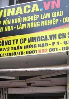 TP.HCM: Phát hiện nhiều sản phẩm nhãn hiệu Vinaca