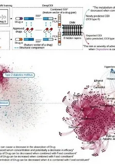 Sử dụng trí tuệ nghệ nhân tạo dự đoán sự tương tác thuốc