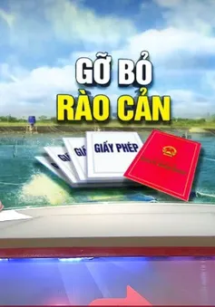 Bao nhiêu Bộ ngành đã cắt giảm tối thiểu 50% điều kiện kinh doanh?