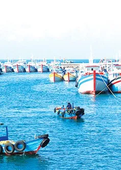Cà Mau quyết tâm không để ngư dân vi phạm vùng biển nước ngoài