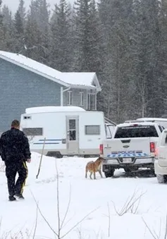 Canada: Phát hiện 15 trẻ mắc bệnh trong 1 ngôi nhà, 1 em đã chết