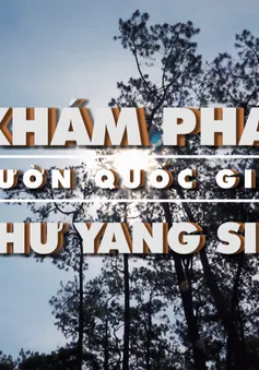 Bước chân khám phá: Khám phá vườn quốc gia Chư Yang Sin (20h55 thứ Sáu, 18/5 trên VTV8)