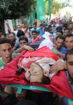 50 thành viên Hamas thiệt mạng trong các vụ đụng độ ở dải Gaza