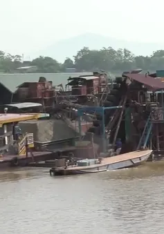 Tràn lan tàu khai thác cát trái phép trên sông Hồng