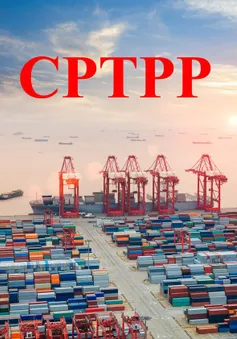 Cơ hội và thách thức từ CPTPP đã trở nên gần hơn bao giờ hết