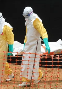 Congo ghi nhận 26 ca tử vong do Ebola, cảnh báo mức nguy hiểm rất cao