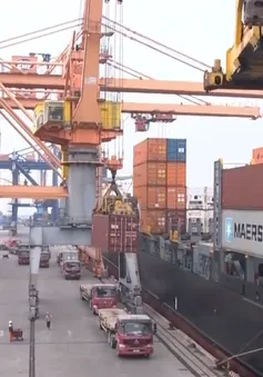 Việt Nam - Nhật Bản hợp tác vì hòa bình và phát triển