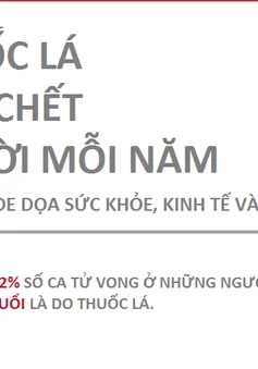 Quảng Trị : Mít tinh hưởng ứng Ngày Thế giới không thuốc lá