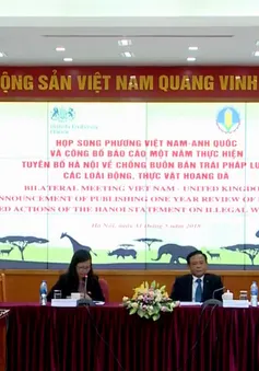 Nhiều bước tiến mới trong chống buôn bán động, thực vật hoang dã