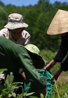 Công chiếu bộ phim “Hành trình bất tận” tại Mỹ