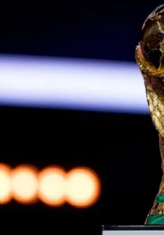 Trí tuệ nhân tạo dự đoán Brazil vô địch World Cup 2018