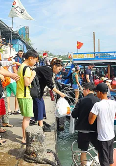 Nha Trang (Khánh Hòa) thu hút khách mùa cao điểm du lịch hè