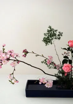 Trực tiếp Thế hệ số 10h00 (20/6): Hướng dẫn cắm hoa theo phong cách Ikebana