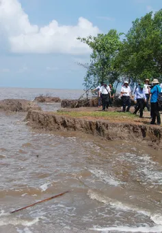 Đê biển Tây (Kiên Giang) tiếp tục sạt lở nghiêm trọng