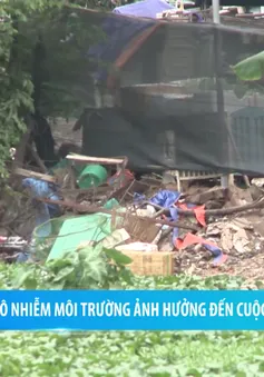 Ô nhiễm môi trường đang ảnh hưởng như thế nào tới cuộc sống của chúng ta?
