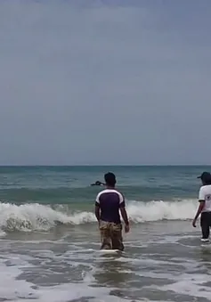 Hàng chục người thiệt mạng do đắm thuyền ngoài khơi bờ biển Yemen