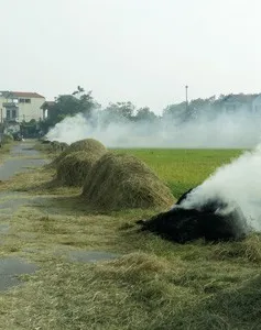 Xử lý nghiêm hành vi phơi nông sản, rơm rạ cản trở giao thông