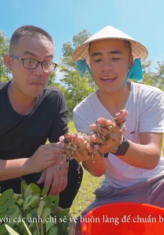 Bước chân khám phá: "Chuyến đi đáng nhớ đến Buôn Đôn - Phần 2" (20h55 thứ Sáu, 20/7 trên VTV8)