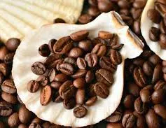 Ngửi mùi cà phê giúp cơ thể tỉnh táo mà không cần nạp caffeine