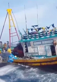 Giã cào bay hoành hành trên vùng biển Tuy Phong, Bình Thuận