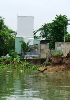 Tìm giải pháp kỹ thuật chống sạt lở ở ĐBSCL