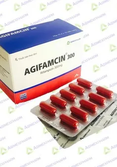 Hà Nội đình chỉ lưu hành thuốc viên nang cứng Agifamcin 300mg