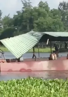 Hãy cứu sông Cổ Cò trước thực trạng hút cát san lấp mặt bằng !